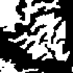 [White Matter Segmentation]